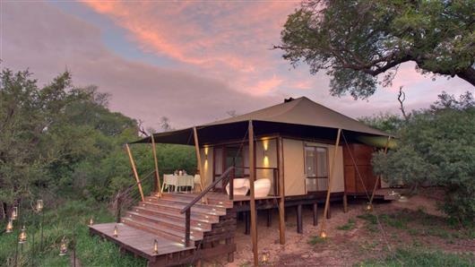 Ngala Tented Camp